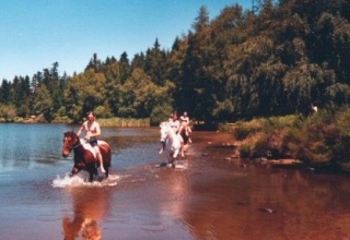 Sejours equestres en pleine nature